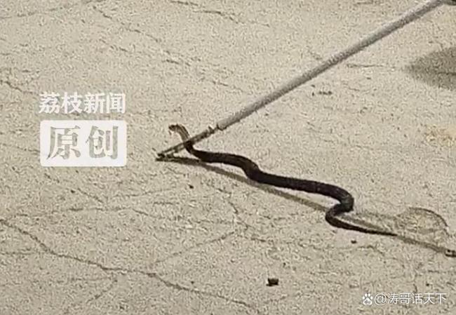 热点生活 第50页