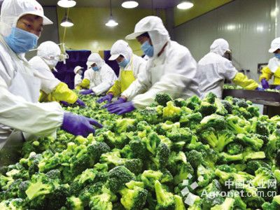 游戏专题 第8页